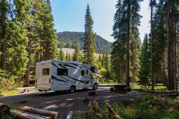 Top Brands for Durable Roof Racks in the Market