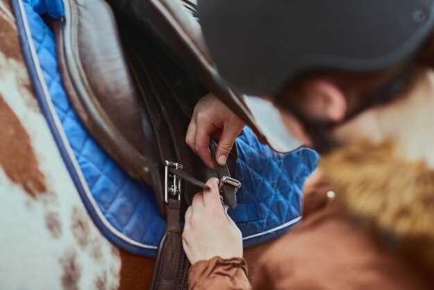 Gathering the Right Cleaning Supplies for Undercarriage Maintenance