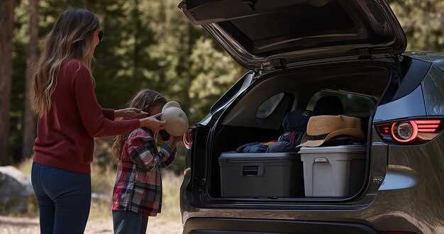 Maintaining Optimal Temperature During Trips