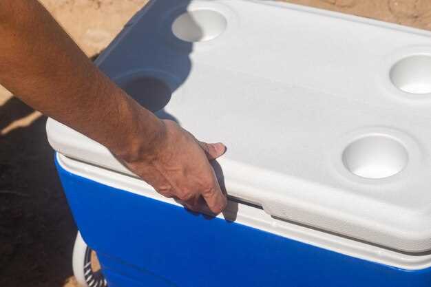Choosing the Right Fridge for Your Jeep