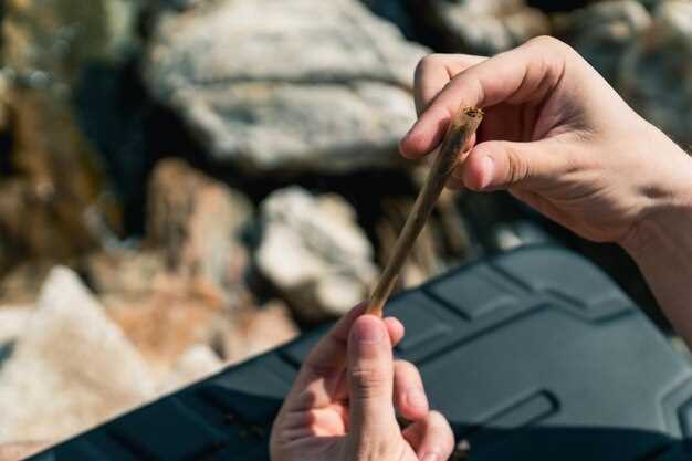 Must-Have Cooking Equipment for Jeep Camping