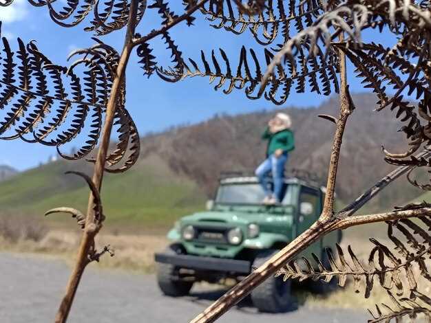 How to Prepare Your Jeep for the Safari